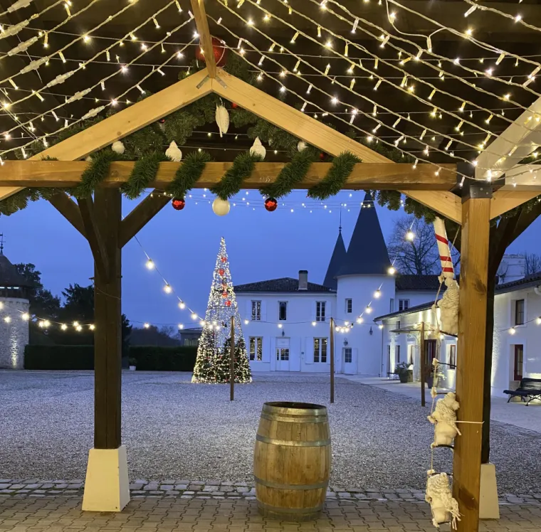 Trouver un lieu de réception unique pour faire l'arbre de Noël de l'entreprise mi-décembre, Bordeaux, Burdigala Events